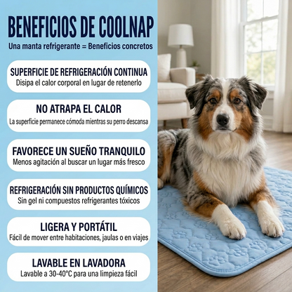 La esterilla que se mantiene fresca — incluso después de horas bajo tu perro.