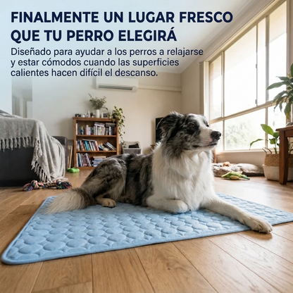 La esterilla que se mantiene fresca — incluso después de horas bajo tu perro.